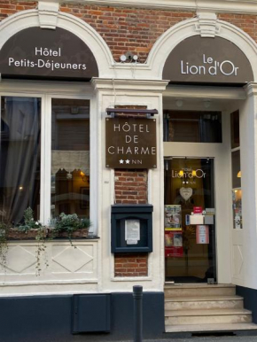 Hôtel Le Lion D'or